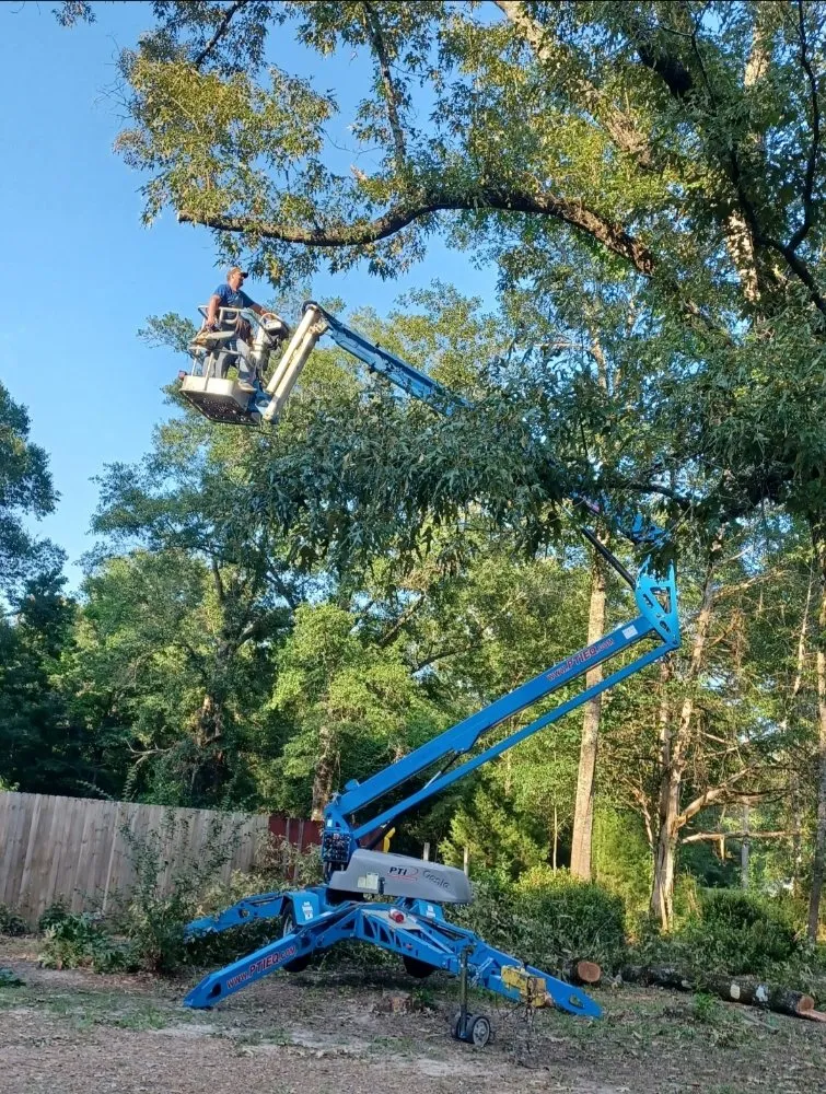 Slide of Hazelton's Clearing Service