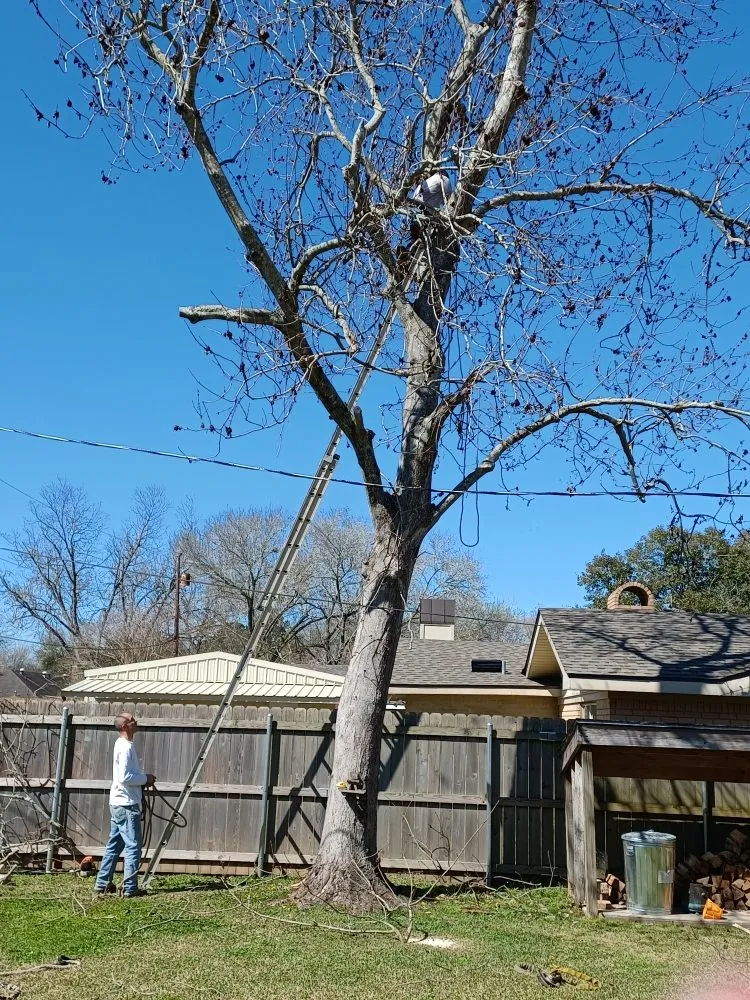 Slide of Hazelton's Clearing Service