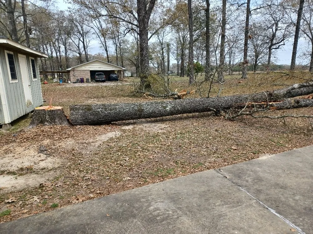 Slide of Hazelton's Clearing Service