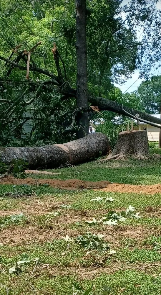 Slide of Hazelton's Clearing Service