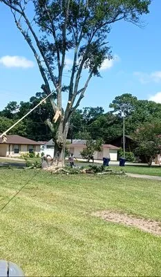 Hazelton's Clearing Service