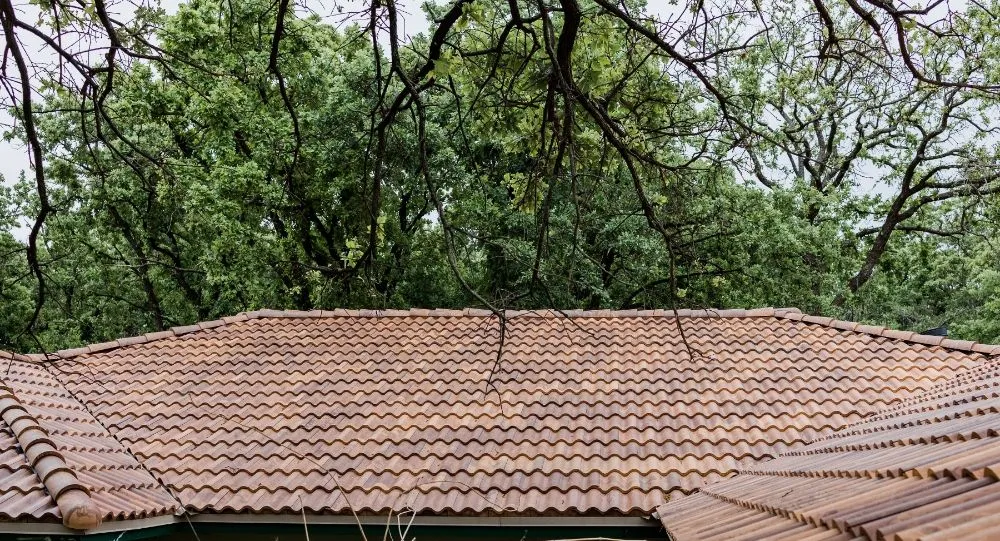 Slide of HB Construction Services