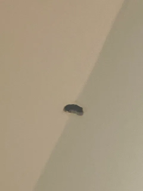 Slide of HB Contracting