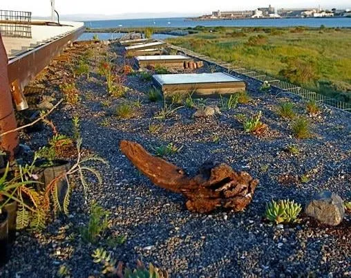 Slide of HB Urethane Roofing