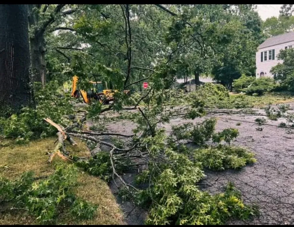 Slide of HD Building Services