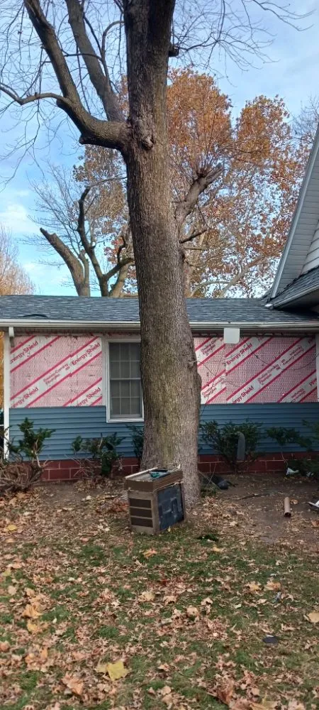 Slide of HD Concepts