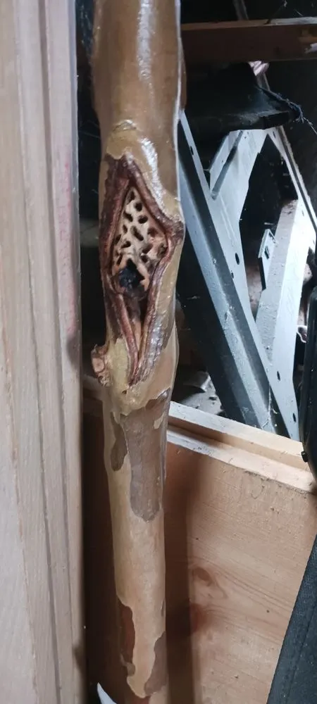 Slide of HD Concepts