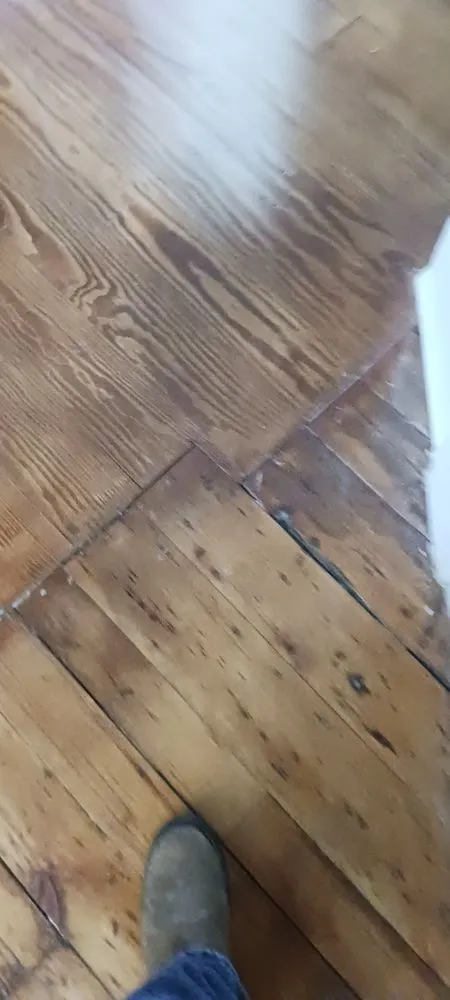 Slide of HD Concepts