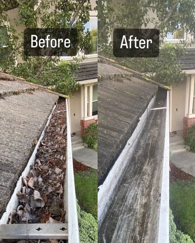 Slide of Healthy Roof