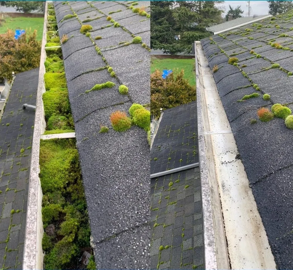 Slide of Healthy Roof