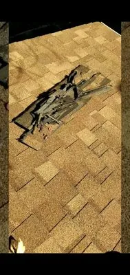 Heavy D Roofing Logo