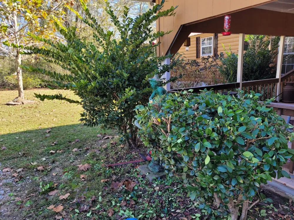 Slide of Heavy Metal Roofing