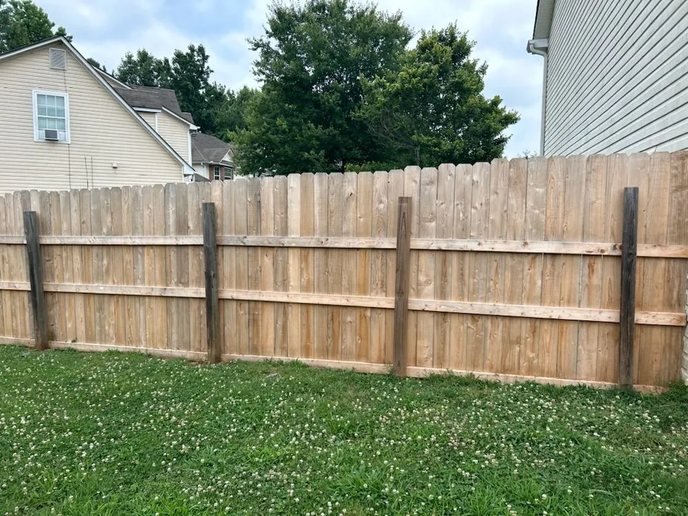 Slide of Helping Hands