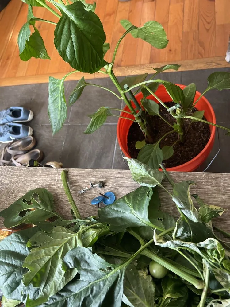 Slide of Henkel Roofing