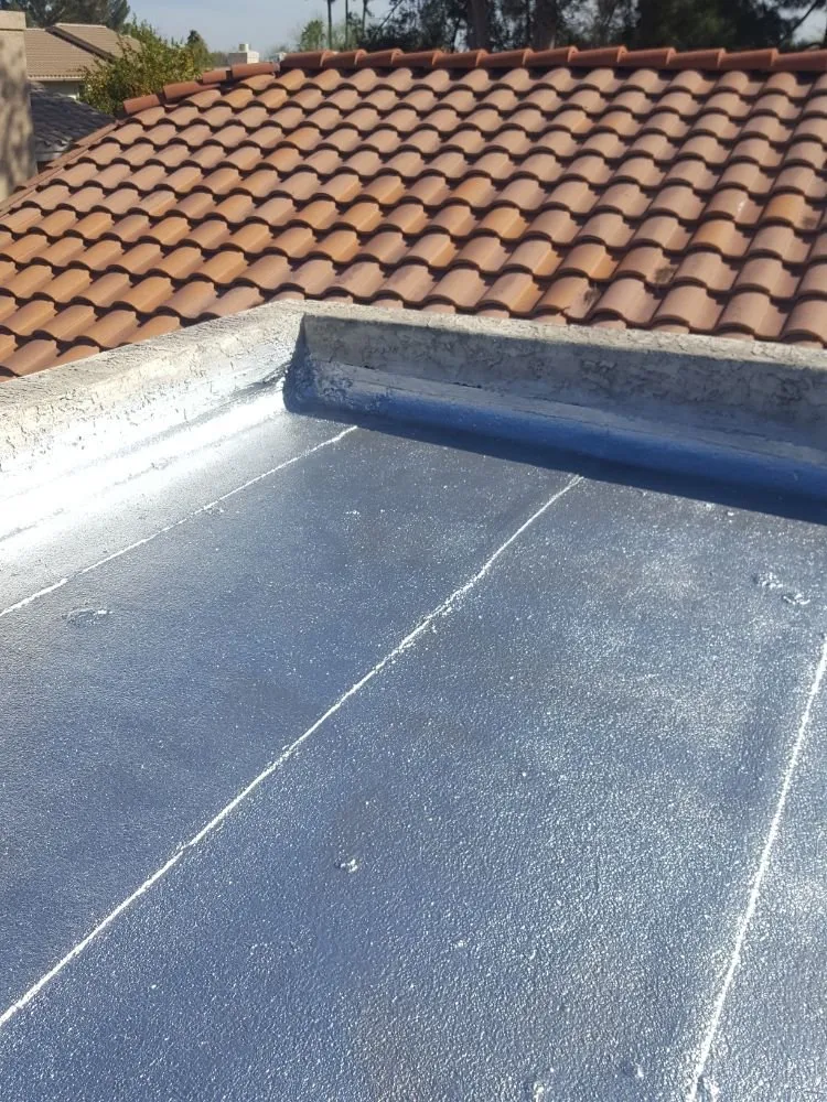 Slide of Henry Stewart