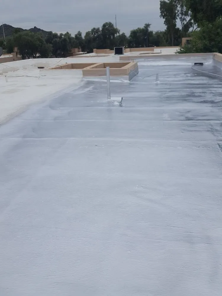 Slide of Henry Stewart