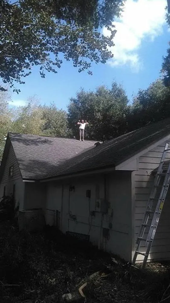 Slide of Her Construction