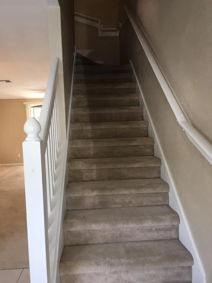 Slide of Her Construction