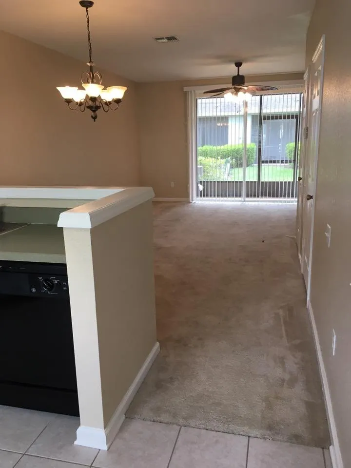 Slide of Her Construction