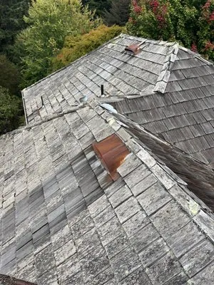 Hernandez construction 