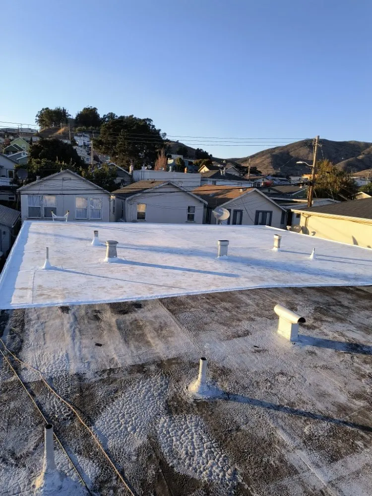 Slide of Hernandez Hernandez