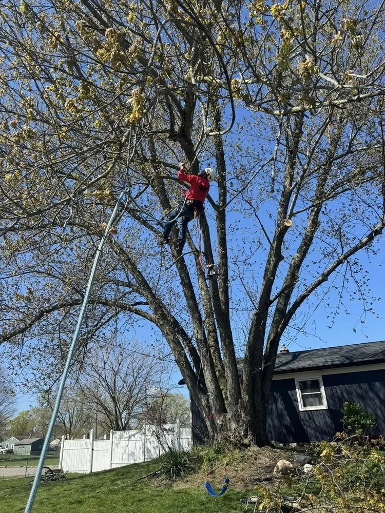 Slide of Hernandez Roofing