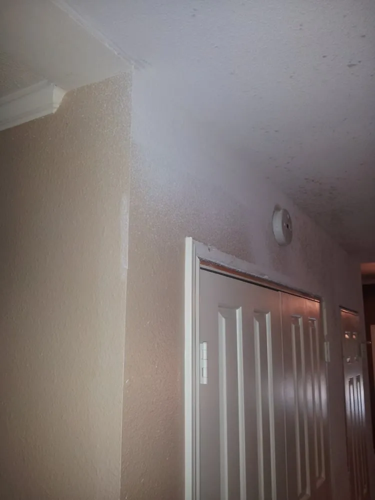 Slide of Hi-Tech Disaster & Recovery