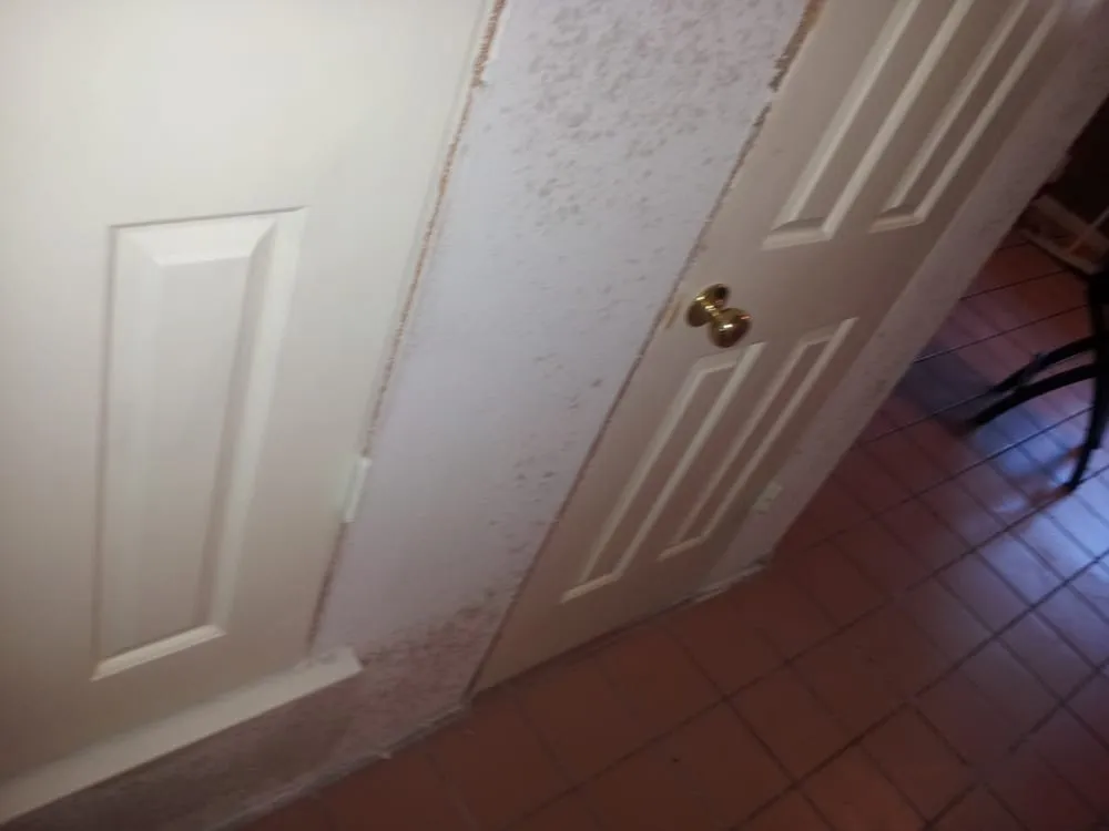 Slide of Hi-Tech Disaster & Recovery