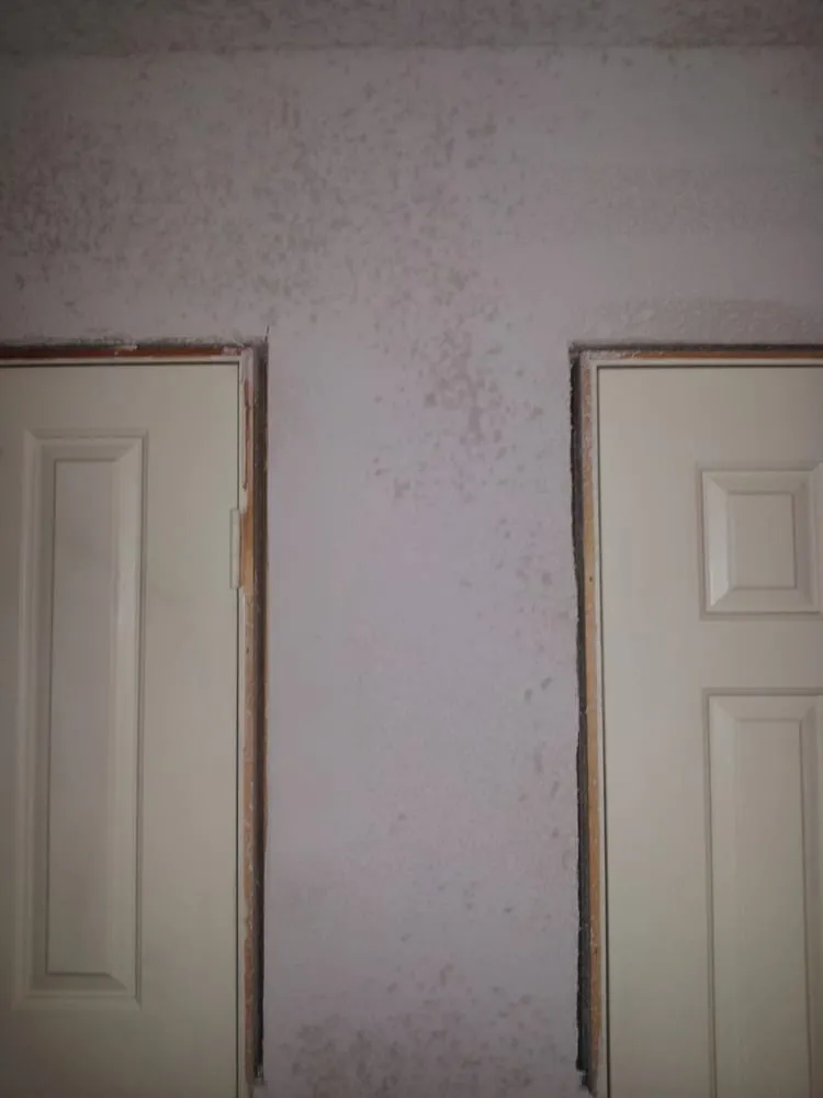 Slide of Hi-Tech Disaster & Recovery