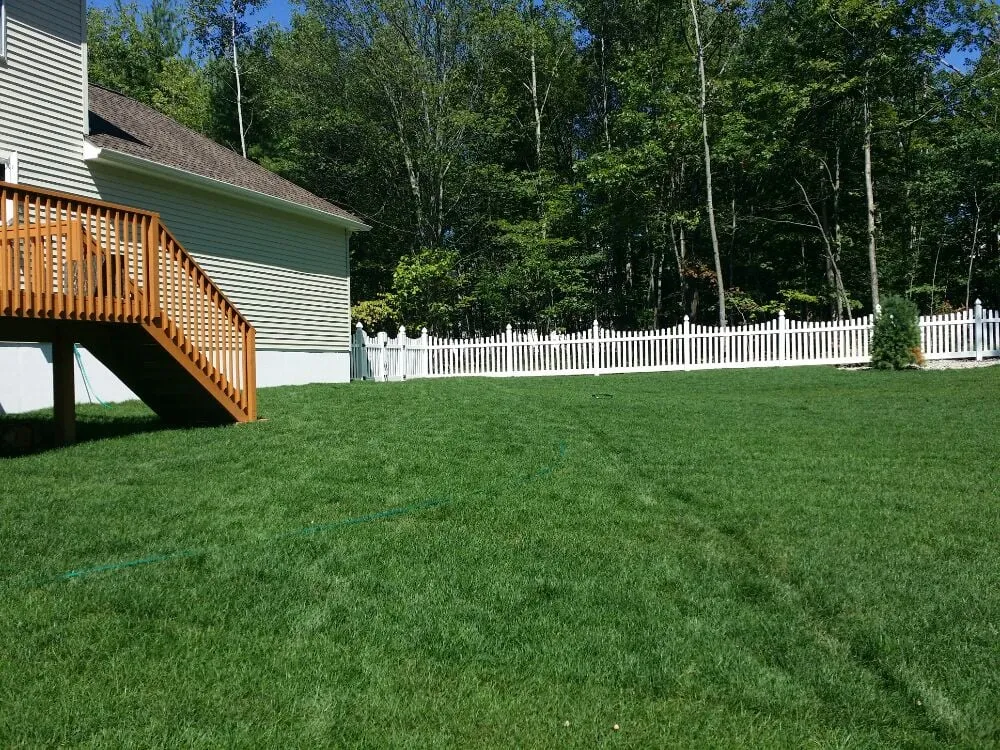 Slide of Hidalgo Brothers