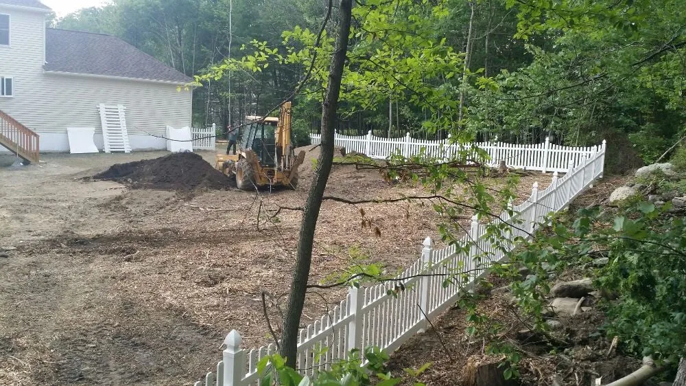 Slide of Hidalgo Brothers