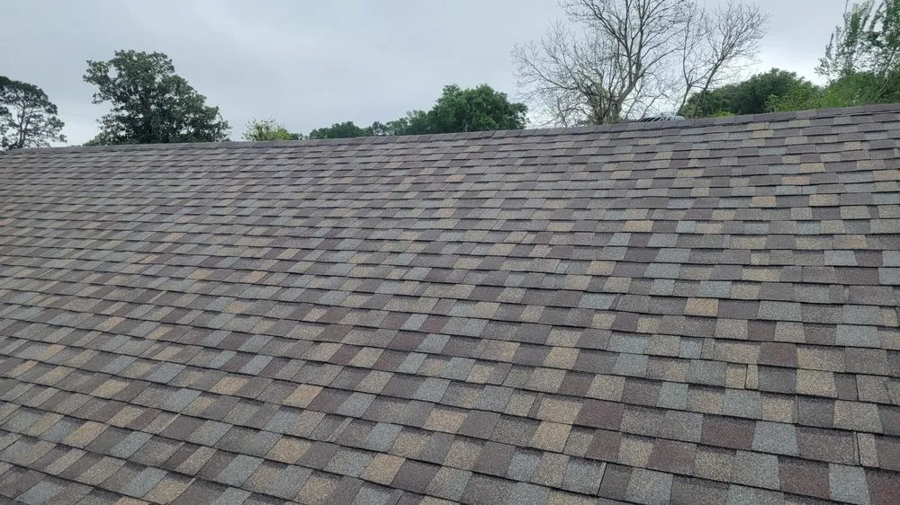 Slide of High & Tight Roof & Remodel