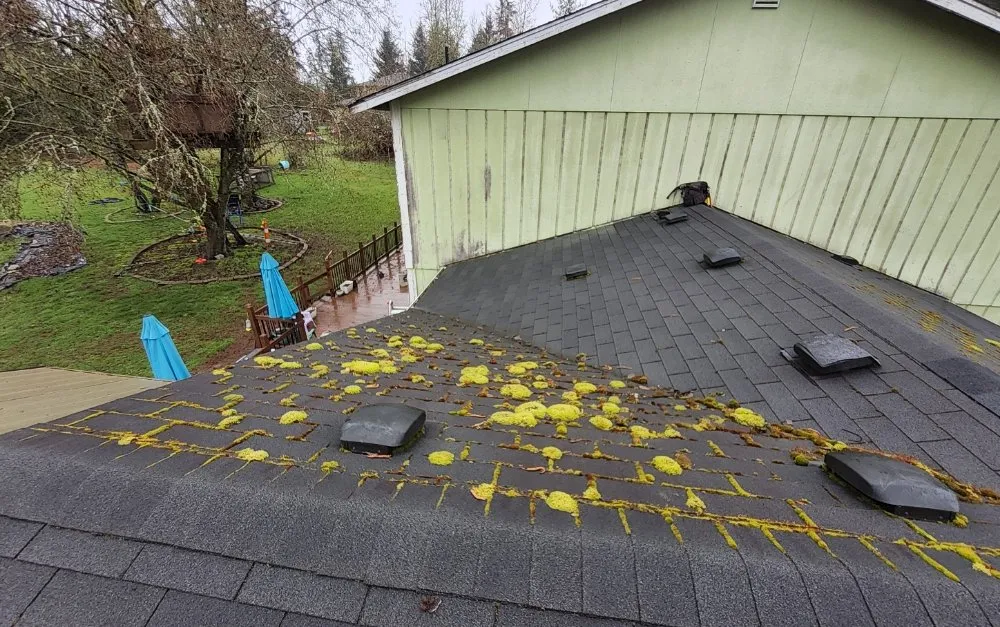 Slide of High Level Roofing