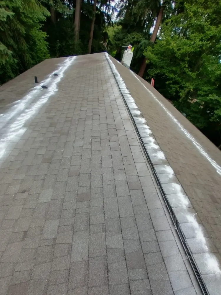 Slide of High Level Roofing