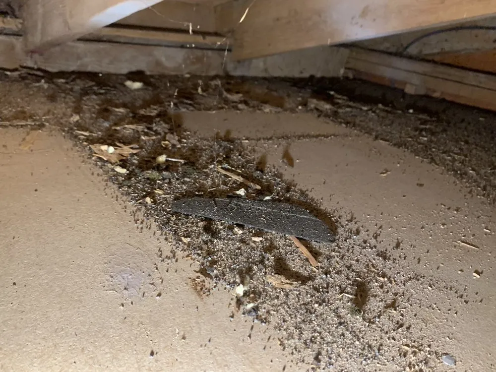 Slide of High Performance Homes