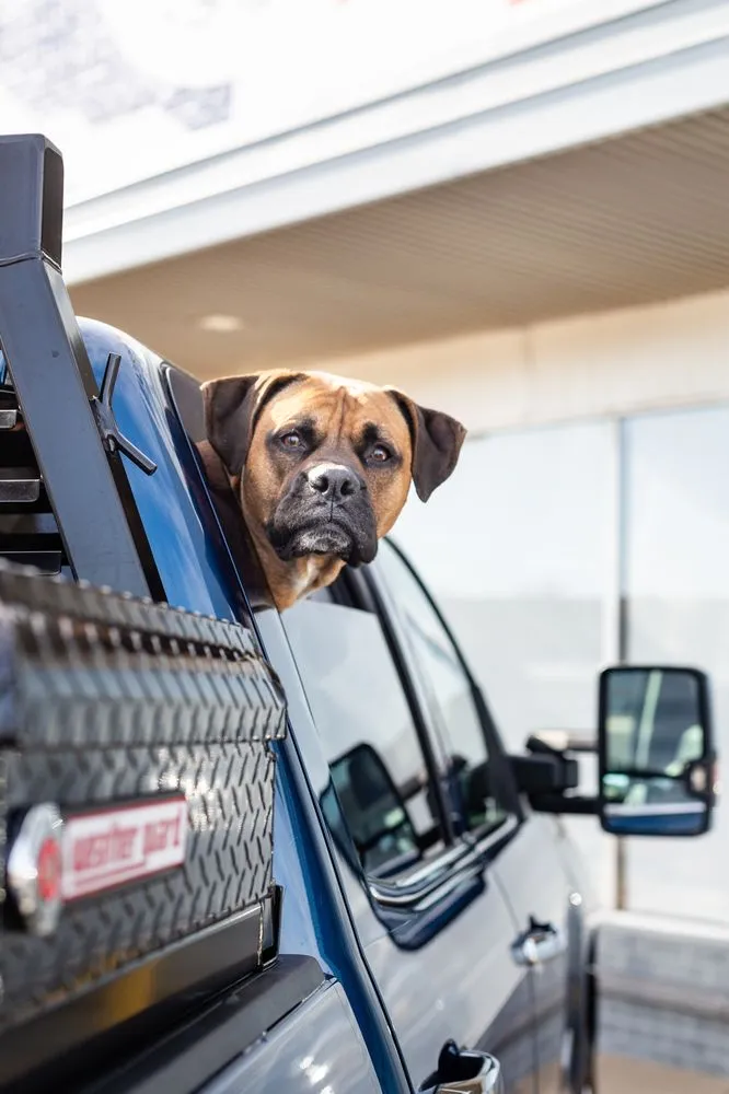 Slide of High Plains Renovation