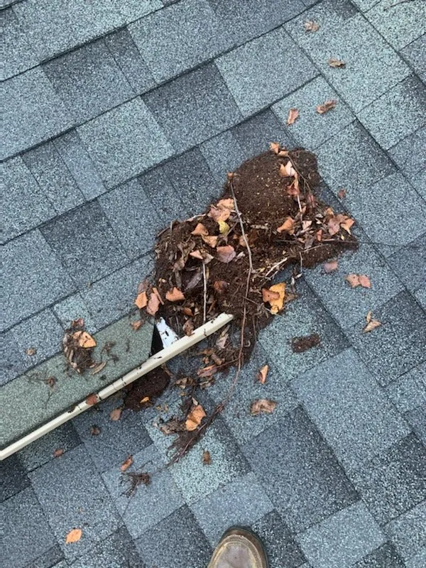 Slide of Highlander Companies