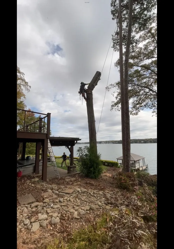 Slide of Hilder construction