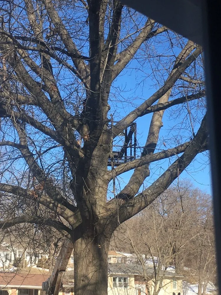 Slide of Hilleshiem Construction