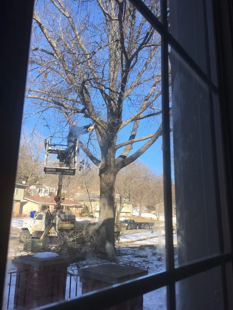 Slide of Hilleshiem Construction