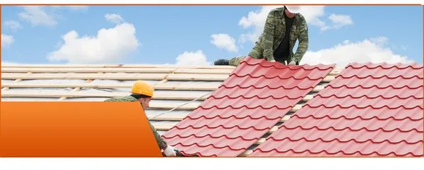 Hilo Roof Coating Logo