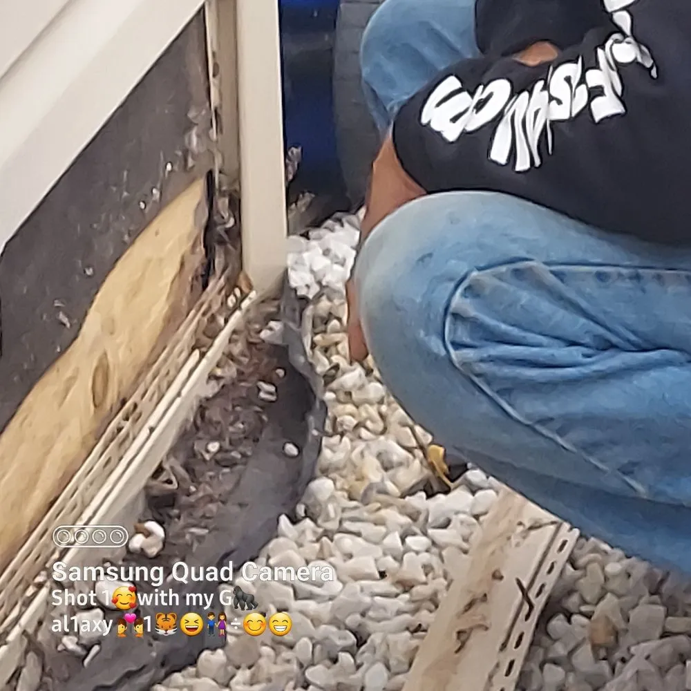 Slide of Hilton Home and Wildlife Services