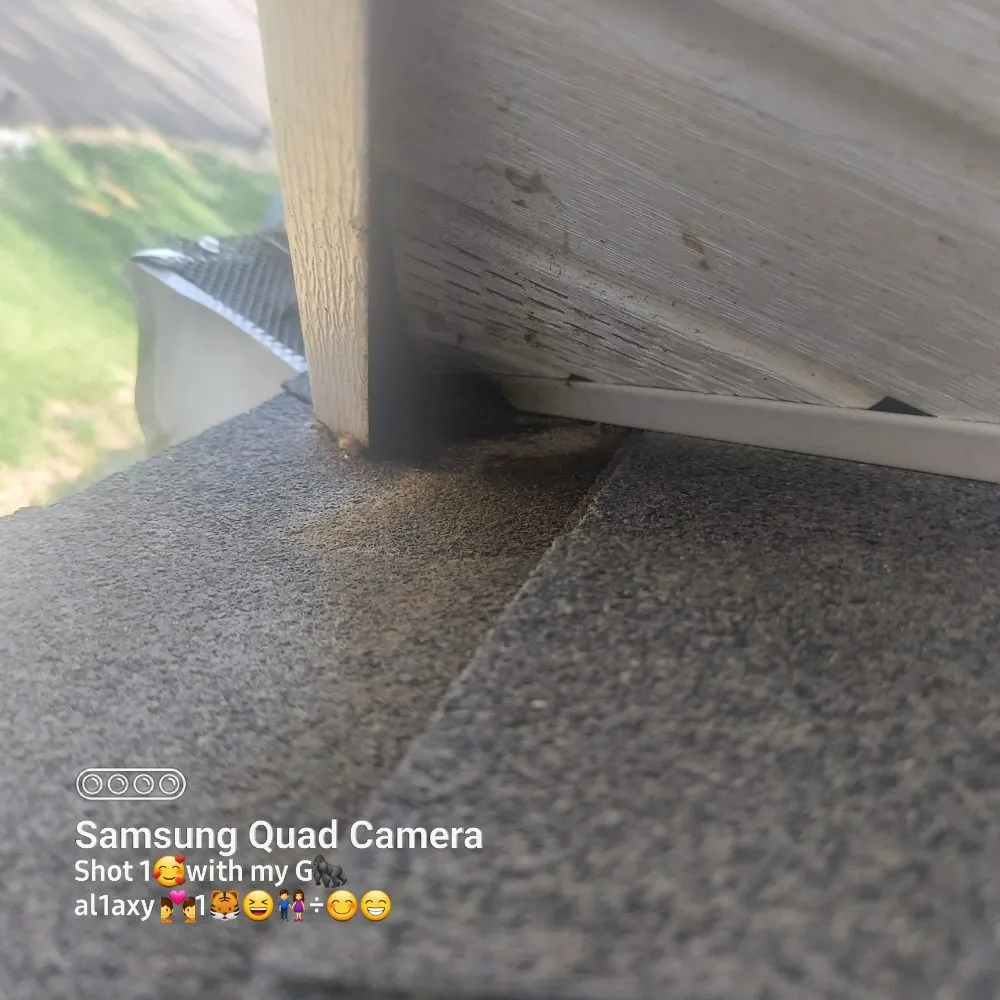 Slide of Hilton Home and Wildlife Services