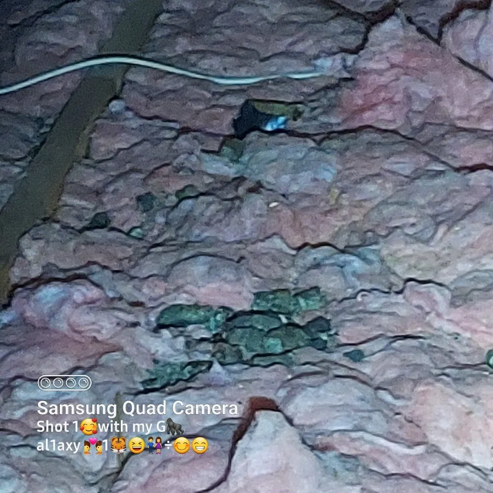 Slide of Hilton Home and Wildlife Services