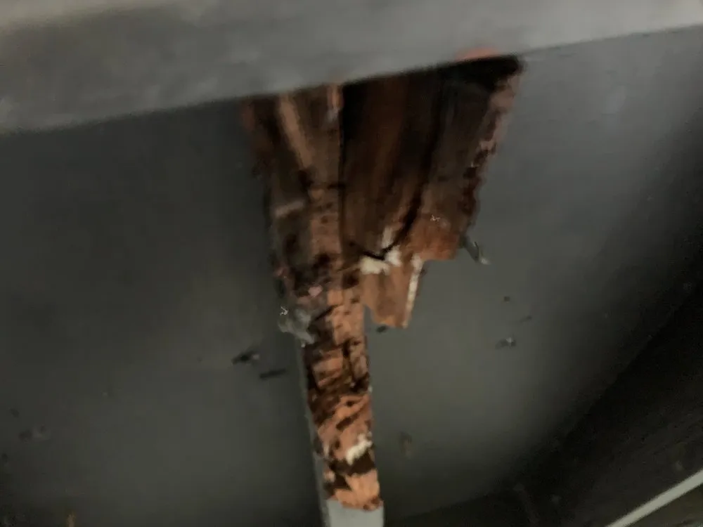 Slide of Hippo Roofing LLC