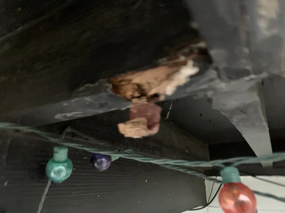 Slide of Hippo Roofing LLC