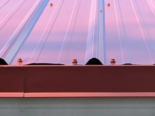 Hippo Roofing