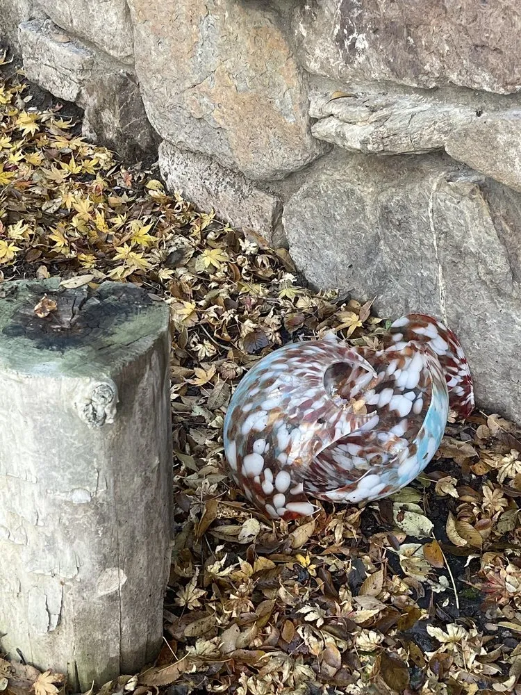 Slide of Hire Mikey's