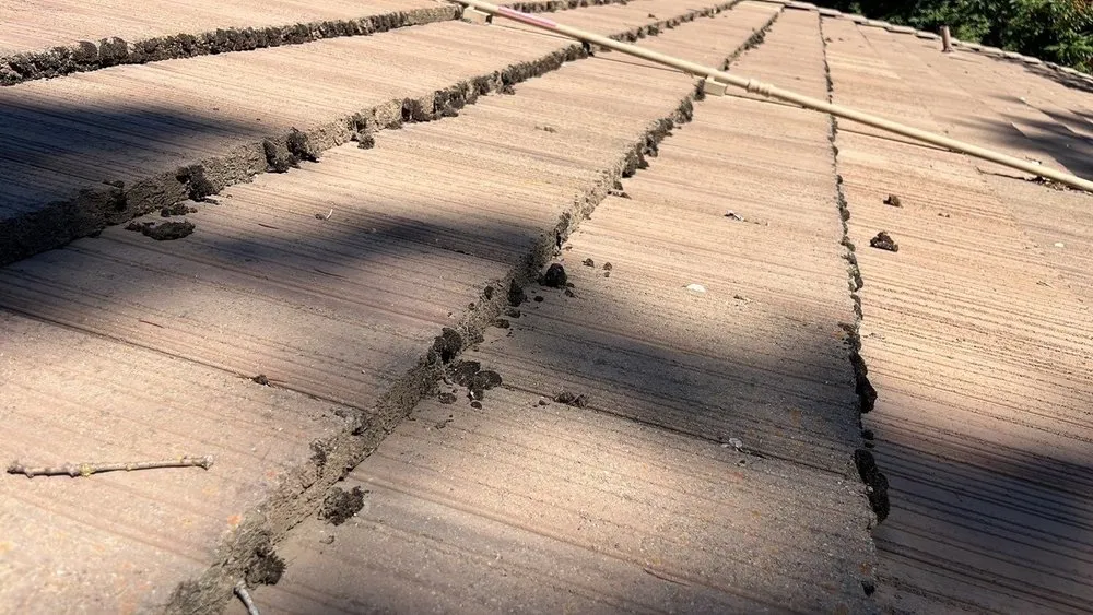 Slide of Hire Mikey's