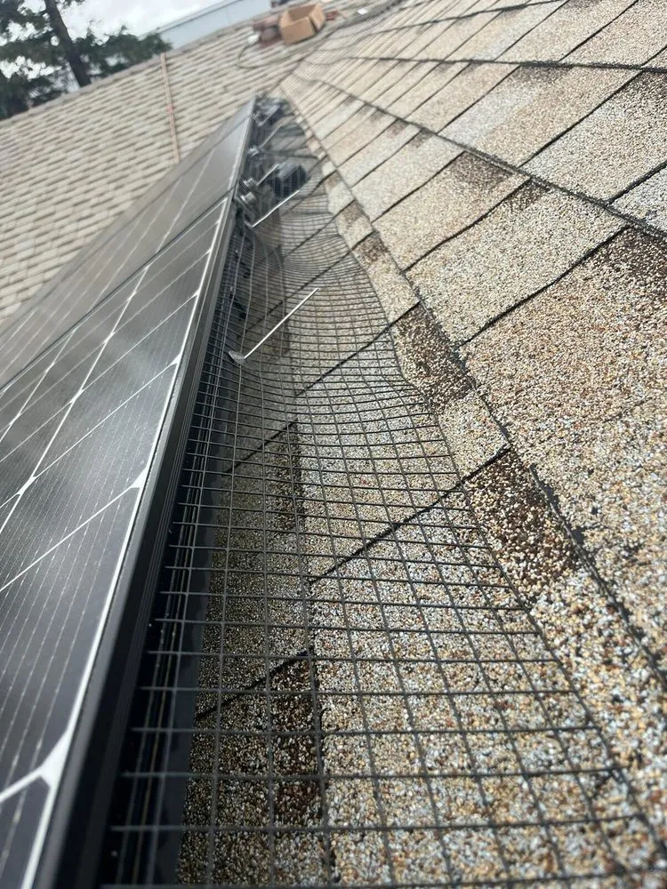 Slide of Hire Mikey's